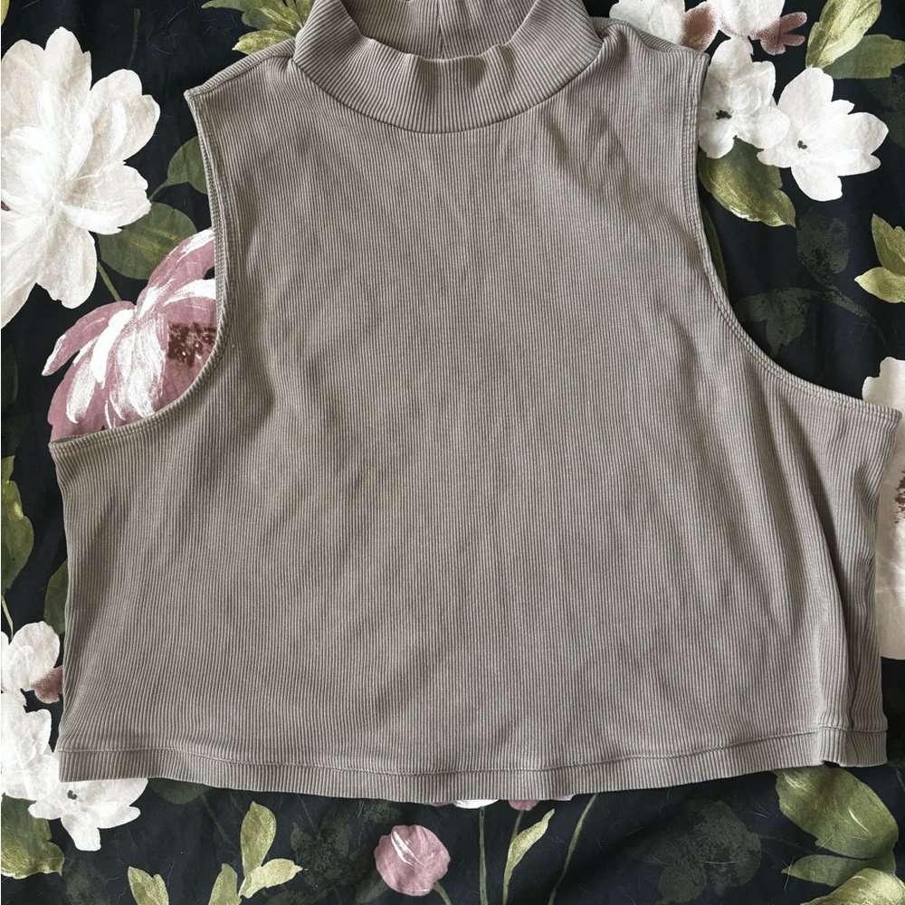 Everlane Taupe Sleeveless Crop Tank Top